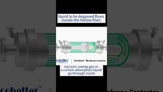 The principle of Cobetter Membrane Contactor with hollow fiber membrane cobettershortshollowfiber [upl. by Ayvid]