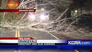 Orangevale Road Blocked By Tree [upl. by Nagy]