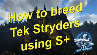 How to breed Tek Stryders using S  Ark Survival Evolved [upl. by Atnoved597]