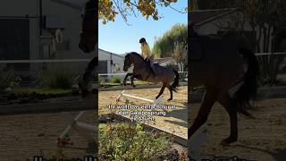 Rhythmus im leichten Sitz momoequestrian equestrian horseriding [upl. by Maire]