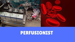 Perfusionist  what we do [upl. by Vania]