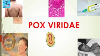 POXVIRUSES poxvirusessmallpoxvirusmolluscumcontagiosumvariolavacciniamicroboologyvirology [upl. by Tera649]