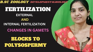 Fertilization BSc 3rd yr developmental biology external internal fertilization Blocks To Polyspermy [upl. by Enrev761]