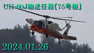 UH60J輸送任務【75号機】20240126 [upl. by Diehl]