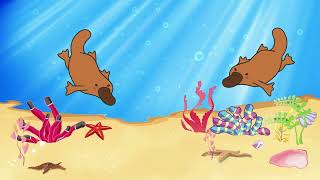 Platypus Party  Song for Kids [upl. by Tips645]