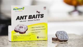 Introducing RESCUE Ant Baits [upl. by Nais]