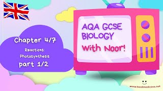 AQA GCSE Biology for the UK  Chapter 47 Reactions Photosynthesis  Part 12 [upl. by Guinn]