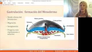 4 Etapa Embrionaria 3a Semana [upl. by Hutchings]