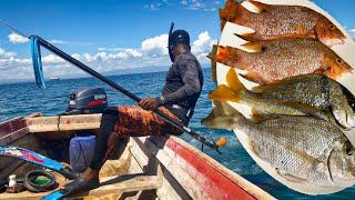 Spearfishing Catch Clean amp Cook  HogFish For Dinner [upl. by Tarton]