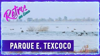 E28 Parque Ecológico TEXCOCO [upl. by Iiette717]