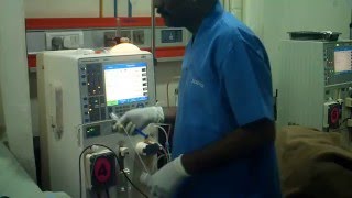 Dialysis process [upl. by Cutler]