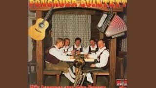 Pongauer Quintett Schlittenglocken 1992 Bischofshofen Musikantentreffen [upl. by Ellerrehs713]