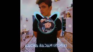 Mythpat kacha badam remix enjoy song guys [upl. by Eihpos]