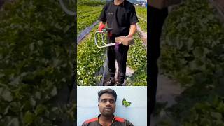 🤔அமேஜிங் பார்ம் டூல்⁉️  Amazing Farm Tool 💯 trending farmtools farm statisfying viral shorts [upl. by Ikkin]