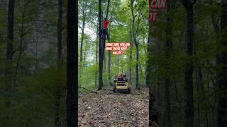 Bow Hunting Hang On Tree Stand Going Up  1 Month Out 🏹🦌 Hunting BowHunting DeerHunting [upl. by Feldstein]