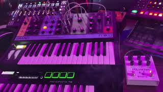 MOOG GRANDMOTHER CUSTOM PATCH EXPLAINED FEAT MERIS POLYMOON AND BEAUTIFULL ROSES NO EDIT ROUGH [upl. by Gerstein]