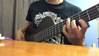 Ligia Elena  Rubén Blades Solo Bass Cover [upl. by Endys]