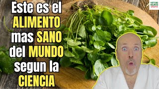 ✅ ESTE ES EL ALIMENTO MAS SANO DEL MUNDO SEGUN LA CIENCIA ✅ [upl. by Ratep]