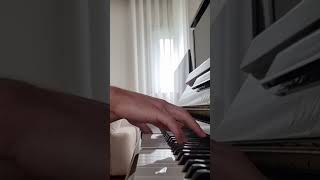 Chopin  Nocturne Op9 No1 [upl. by Teak695]