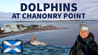 EP7  Dolphin spotting at CHANONRY POINT Plus Fortrose Cathedral and the Fairy Glen Falls [upl. by Asin]