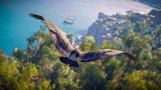 A Serene Journey Through Ancient Kephallonia 480 BC  AC Odyssey Ambient Storytelling [upl. by Einej]