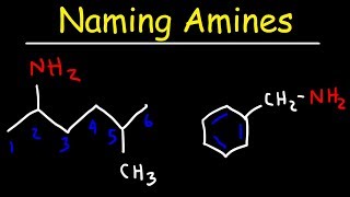 Naming Amines  IUPAC Nomenclature amp Common Names [upl. by Nylyahs317]