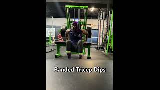 Banded Tricep Dipsfitness motivation bodyweightexercise strengthtraining armday triceps viral [upl. by Otaner]