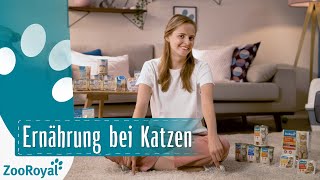 Ernährung bei Katzen  Rund um die Katz mit Katzenbloggerin Ani  ZooRoyal [upl. by Oos]