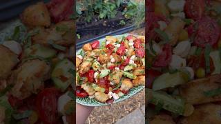 Panzanella gardenharvest gardening gardeninginspiration gardentotable [upl. by Assila]