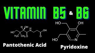 USMLE Step 1  Lesson 43  Vitamin B5 and B6 [upl. by Uta]