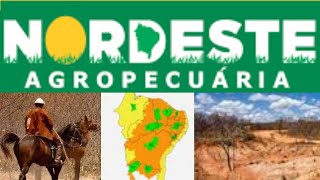 Agropecuária no Nordeste  Canal Conversa Geográfica [upl. by Ecyar]