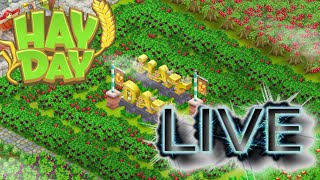 🔴 Hay Day Live  Farmen und Leveln 😍  SyromerB [upl. by Byrom]