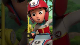 Everest and Pups save a baby Elephant in the Jungle PAWPatrol shorts [upl. by Leiand]