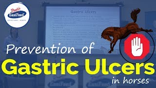 Prevention of Gastric Ulcers in horses [upl. by Ariec564]