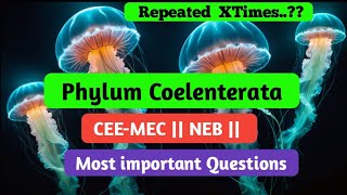 Phylum Coelenterata  Common entrance and NEB  TOP questions collections [upl. by Yssac35]