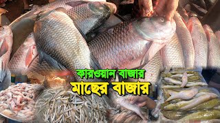 Vlogs173  কারওয়ান বাজার আড়ৎ এ হরেক রকম মাছ  Karwanbazar fish market  Chaka Bazar  River Fish [upl. by Ennaej11]