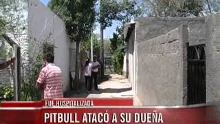 Un pitbull atacó a su dueña y la Policía mató al perro [upl. by Adnelg]