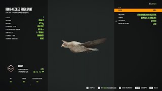 RingNecked Pheasant  1Leucistic  theHunter Call of the Wild 2024 05 24 [upl. by Siuqramed]