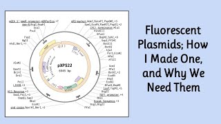 Editing A Plasmid  Synthetic Biology [upl. by Anirtik]