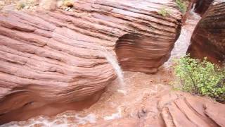 Buckskin Gulch Flash Flood [upl. by Aiza]