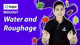 Water and Roughage  From Tasting To Digestion  Class 5 EVS [upl. by Namharludba]