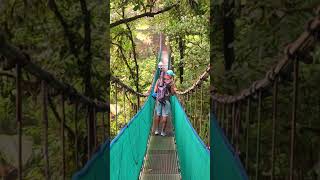 Experience Costa Ricas Stunning Biodiversity on a Hanging Bridge Journey 🌿🌉 [upl. by Eeraj]