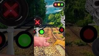 Lion and pig running on railway track shorts short [upl. by Eladnar]