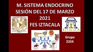 M Sistema Endocrino Sesión del Miércoles 17 de Marzo del 2021 [upl. by Ttelrahc]