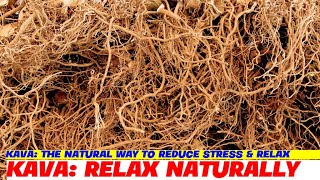 Kava The Natural Way to Reduce Stress amp Relax [upl. by Daniyal]