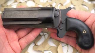 Leinad Cobray Pepperbox 5 Shot Derringer 410 45LC Overview  Texas Gun Blog [upl. by Aehsal]