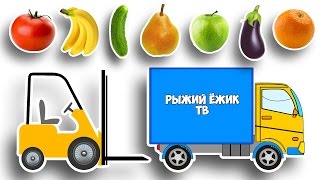 МАШИНКИ помощники  Грузовичок и Погрузчик Откуда в МАГАЗИНАХ Берутся ФРУКТЫ и ОВОЩИ [upl. by Faubion929]