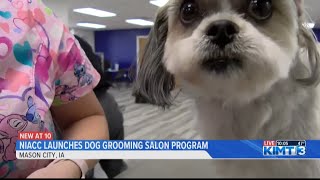 NIACC launches dog grooming salon program [upl. by Enimsaj]