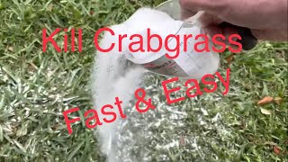 How to Kill Crabgrass Without Affecting Your Lawn Fast amp Easy [upl. by Ardnu]