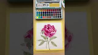 How to Paint Watercolor Peonies [upl. by Naujled]